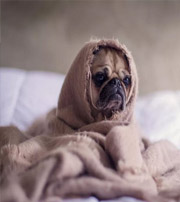 澄迈有这样的手机号码，留不住钱，你中枪了吗？