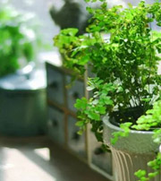 澄迈专属于你的开运指南，助你鸿运当头福满身！