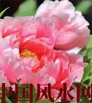 澄迈预示你财运上升，姻缘可成的梦境，快来看看吧！