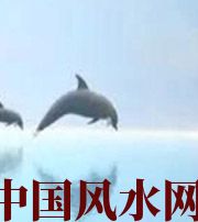 澄迈做梦梦到这些，是要富裕的征兆！